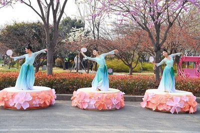 又是一年賞櫻時(shí)！第十屆中國（鶴壁）櫻花季啟幕 劇本活動(dòng)