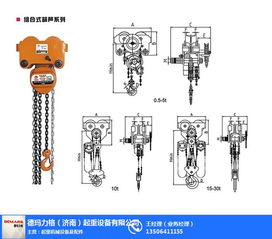 1噸吊掛葫蘆選購指南 自貢品質與德瑪力格定制服務詳解